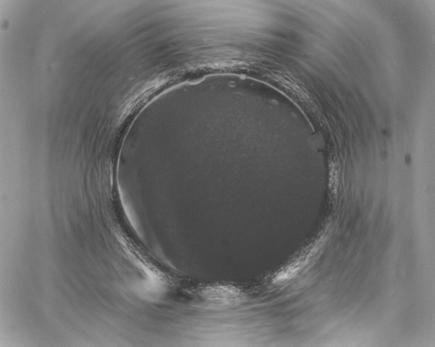 X0000060790397200511171313