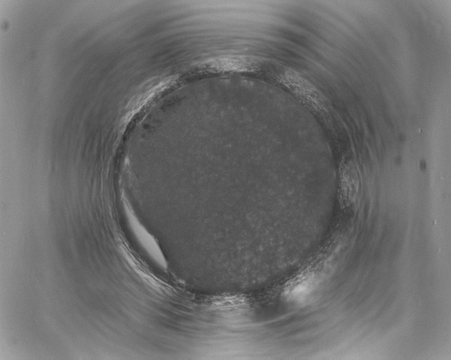 X0000060790398200511171313