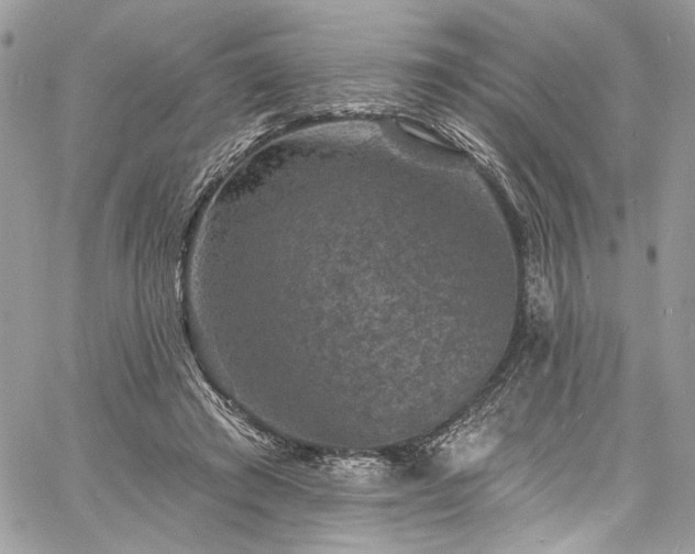 X0000060790401200511171313