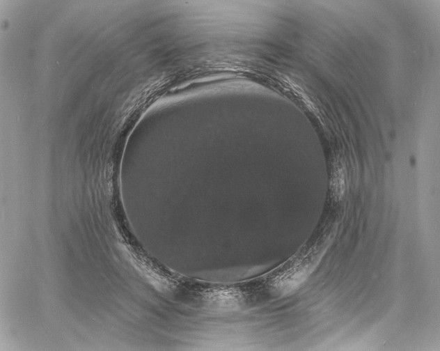 X0000060790402200511171313