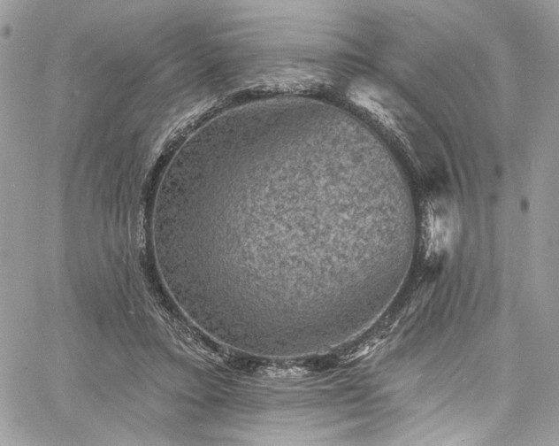 X0000060790403200511171313