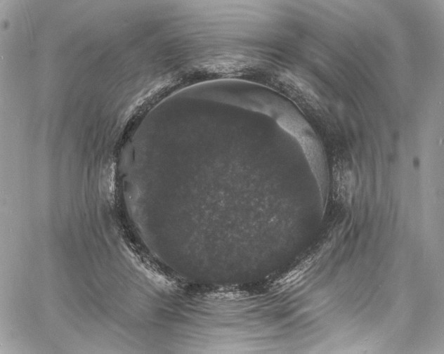 X0000060790404200511171313