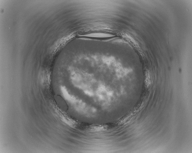 X0000060790405200511171313