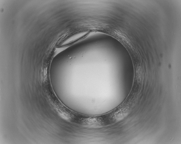 X0000060790406200511171313