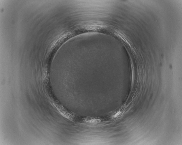 X0000060790407200511171313