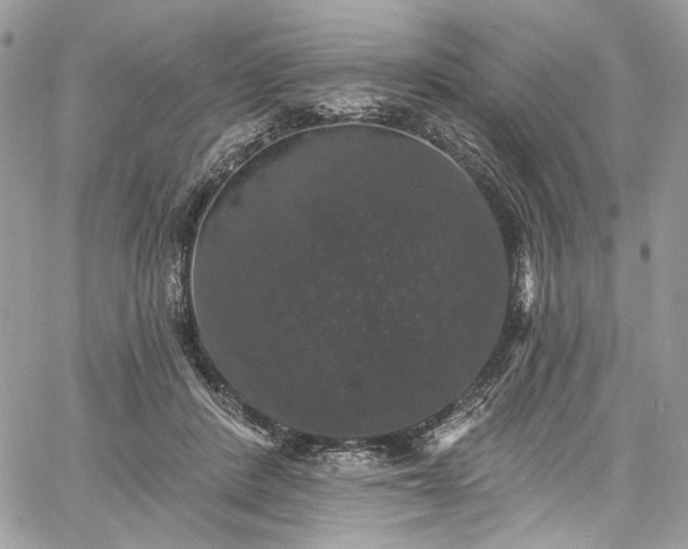 X0000060790408200511171313