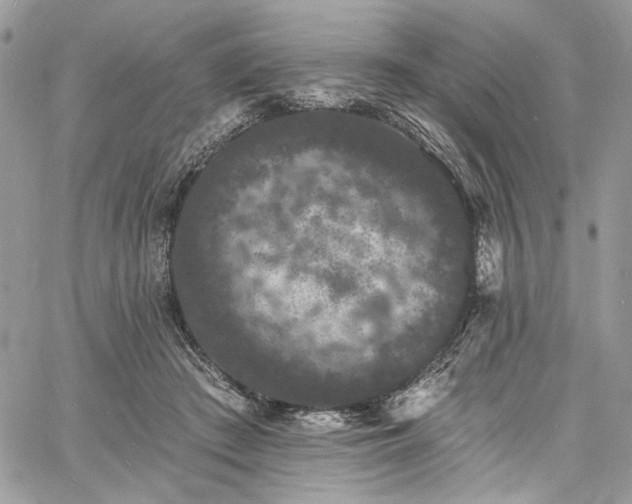 X0000060790409200511171313