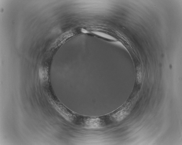 X0000060790410200511171313