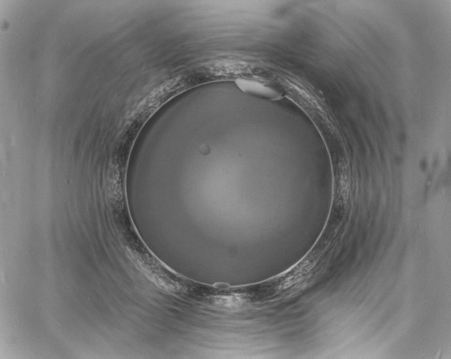 X0000060790411200511171313