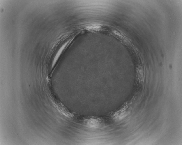 X0000060790412200511171313