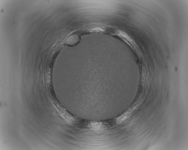 X0000060790413200511171313