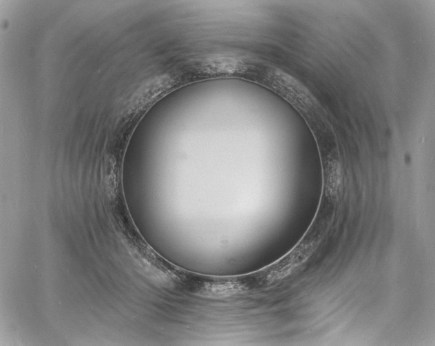 X0000060790414200511171313