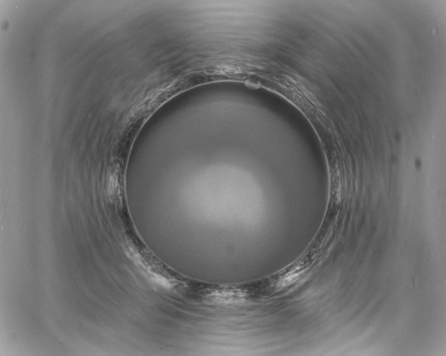 X0000060790415200511171313