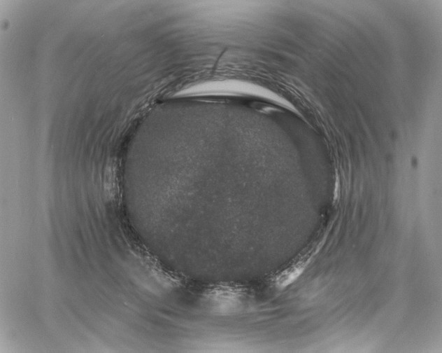 X0000060790416200511171313