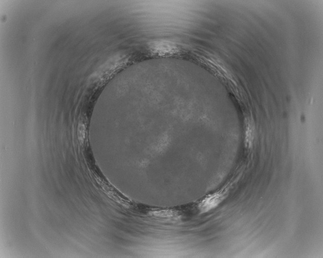 X0000060790417200511171313