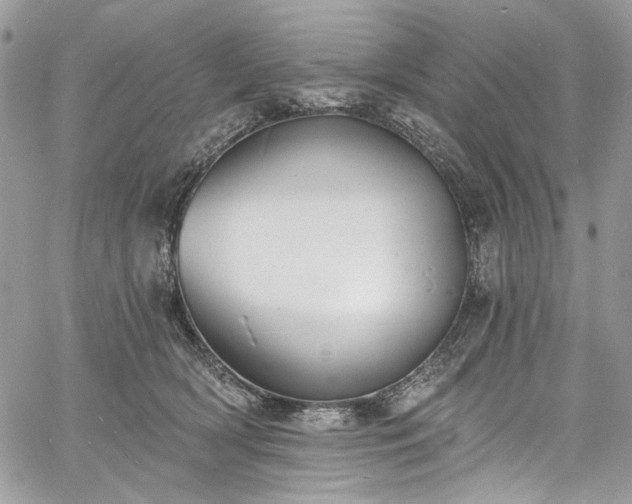 X0000060790418200511171313