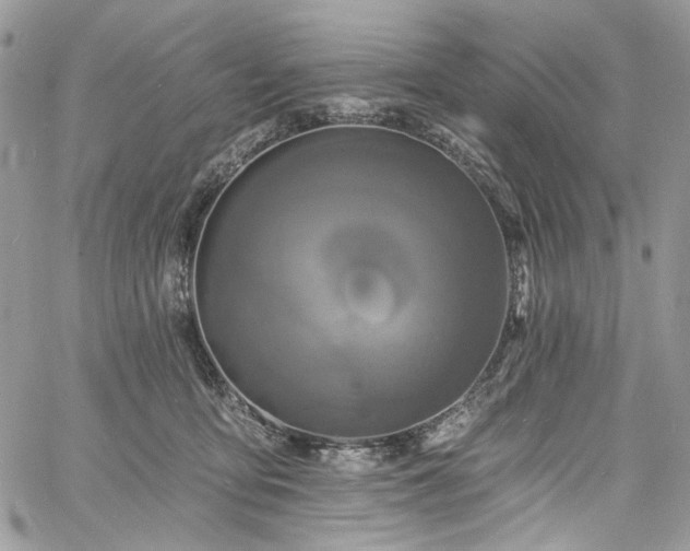 X0000060790419200511171313