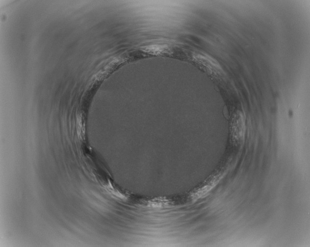 X0000060790420200511171313