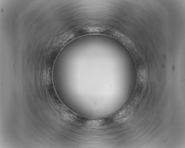 X0000060790422200511171313