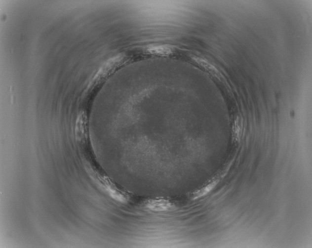 X0000060790424200511171313