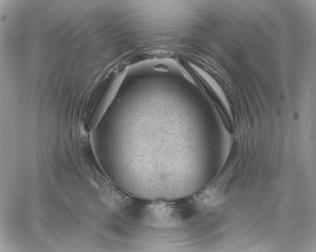 X0000060790425200511171313