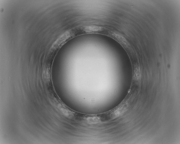 X0000060790426200511171313