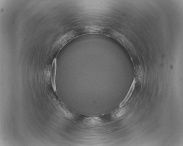 X0000060790427200511171313