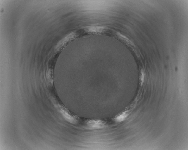 X0000060790428200511171313