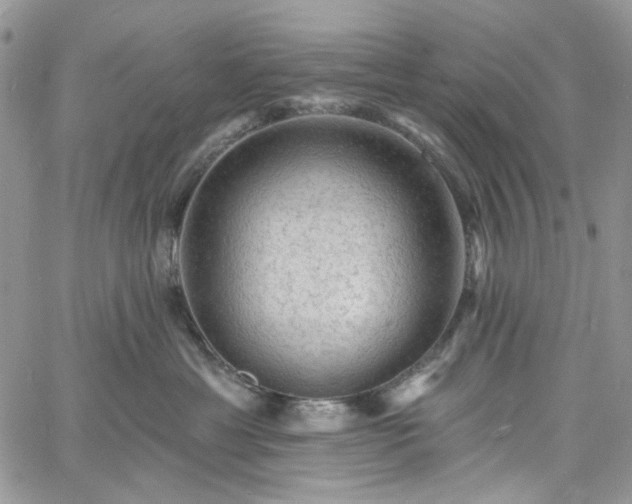 X0000060790429200511171313