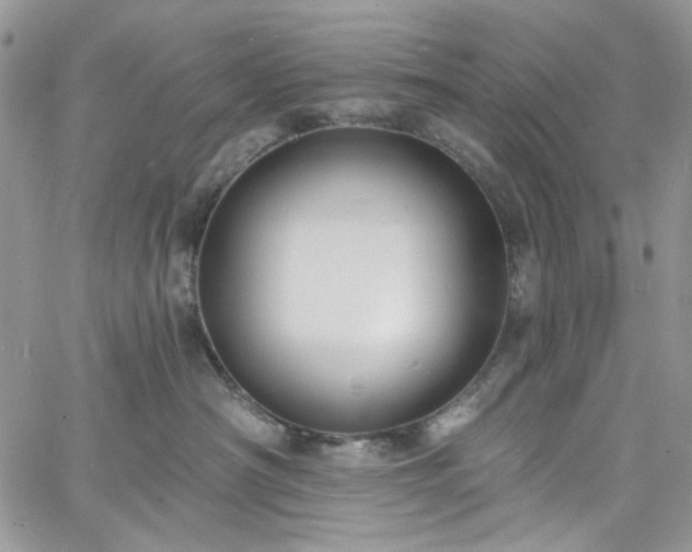 X0000060790430200511171313