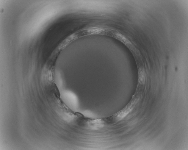 X0000060790431200511171313