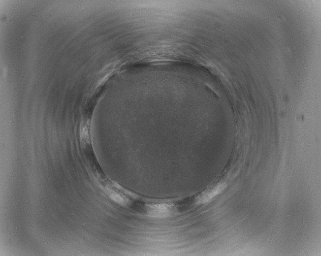 X0000060790432200511171313