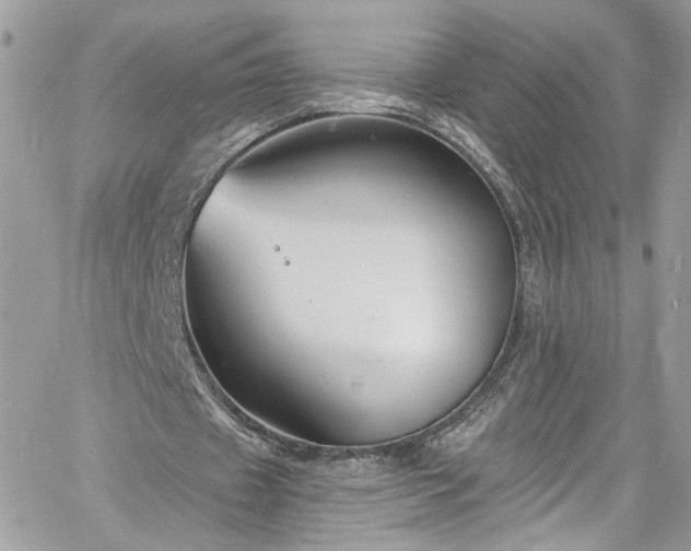 X0000060790433200511171312