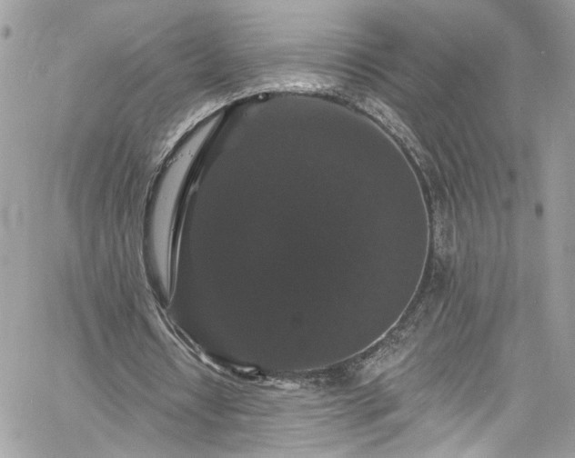 X0000060790434200511171312