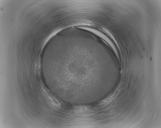 X0000060790435200511171312