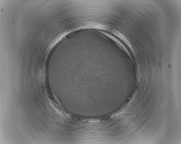 X0000060790436200511171312