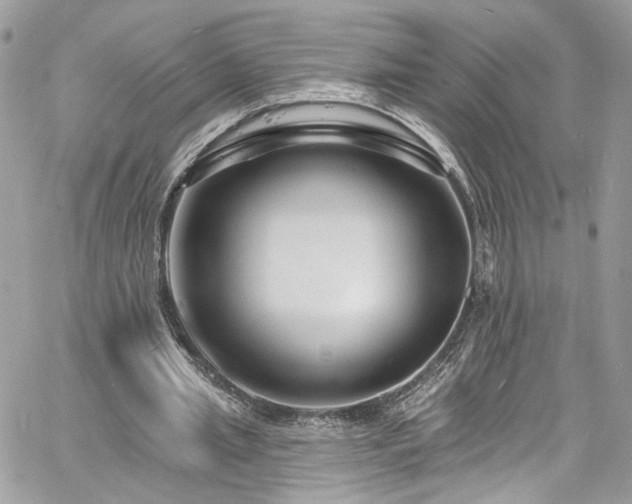 X0000060790437200511171312