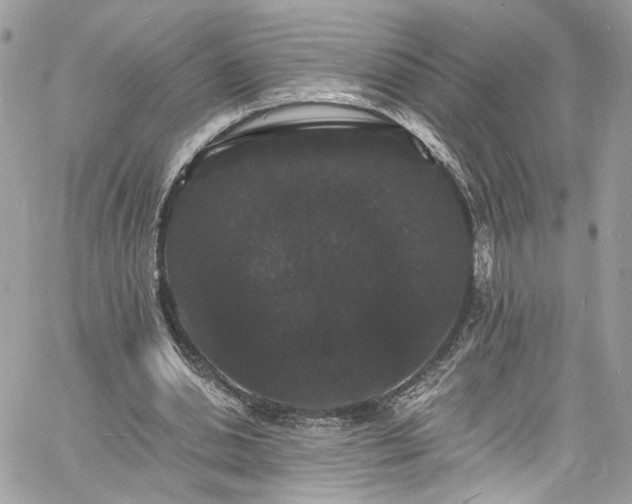 X0000060790438200511171312