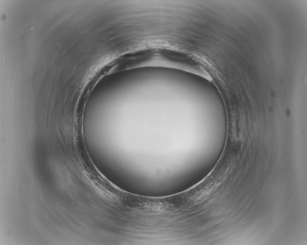 X0000060790439200511171312