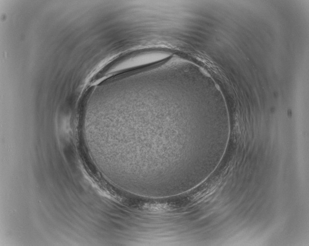 X0000060790440200511171312