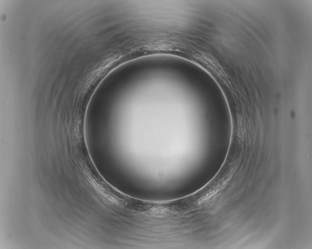 X0000060790441200511171312