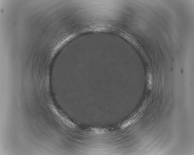 X0000060790442200511171312