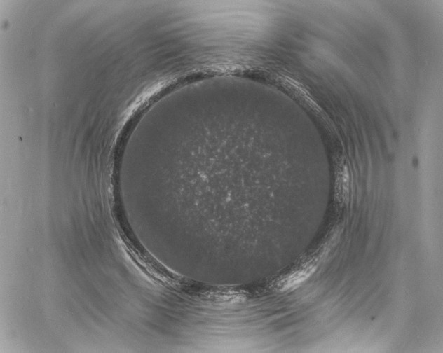 X0000060790443200511171312