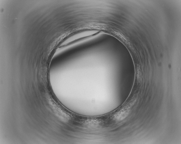 X0000060790445200511171312