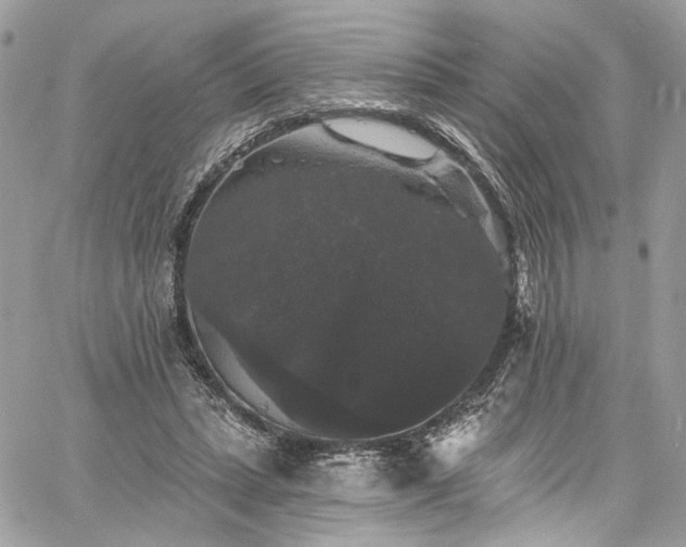 X0000060790447200511171312