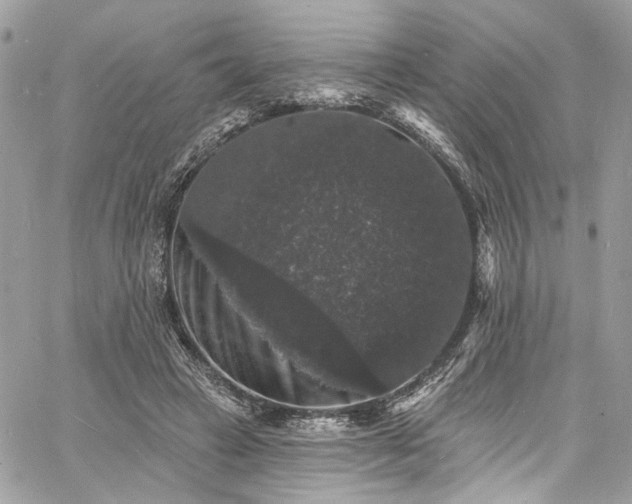 X0000060790449200511171312