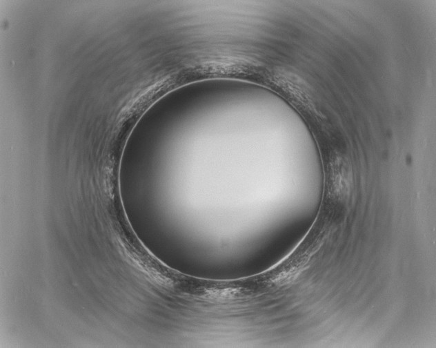 X0000060790450200511171312