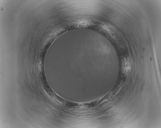 X0000060790451200511171312