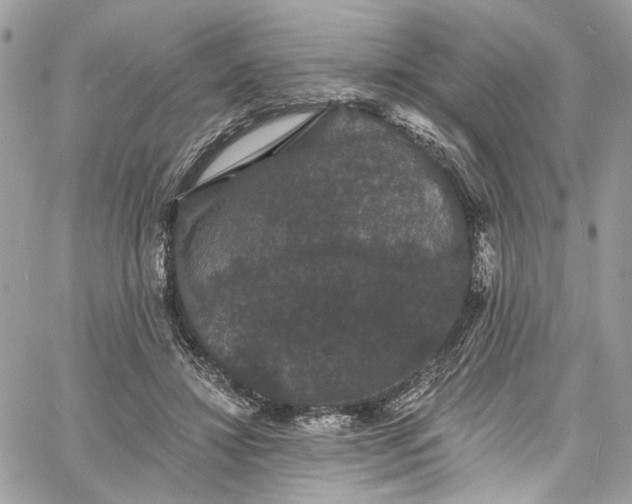 X0000060790452200511171312