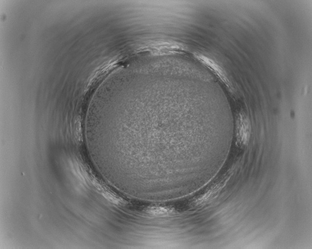 X0000060790453200511171312